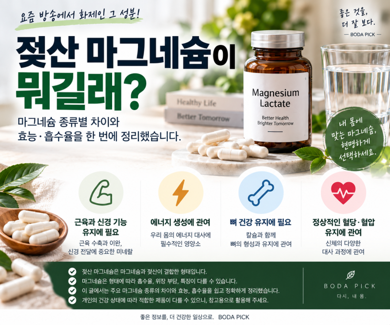 젖산 마그네슘이 뭐길래? 마그네슘 종류별 차이와 효능·흡수율 정리