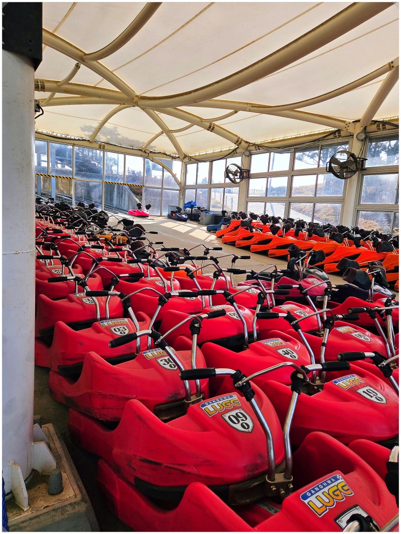 Ganghwado Must-Visit: Ganghwa Luge, Even More Fun in Winter – My Riding Experience