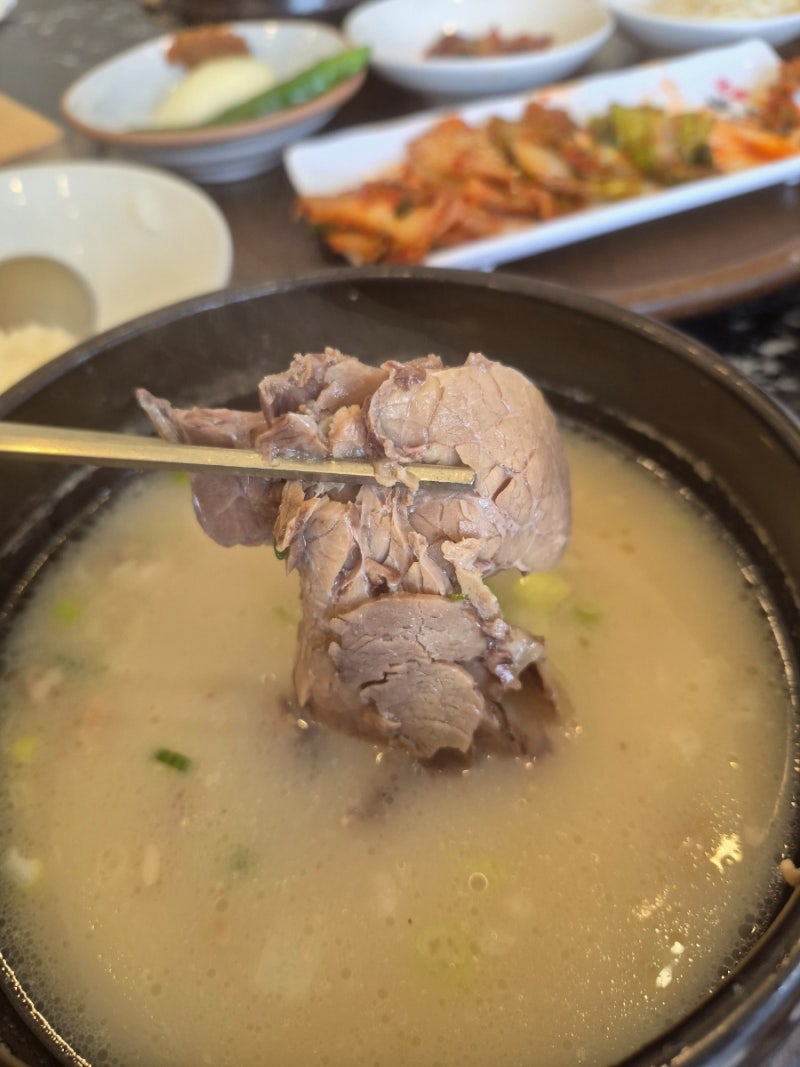 목포 아침식사 맛집 "대양정" 목포 평화광장 맛집/목포 숨은맛집/목포노포맛집/목포 곰탕추....