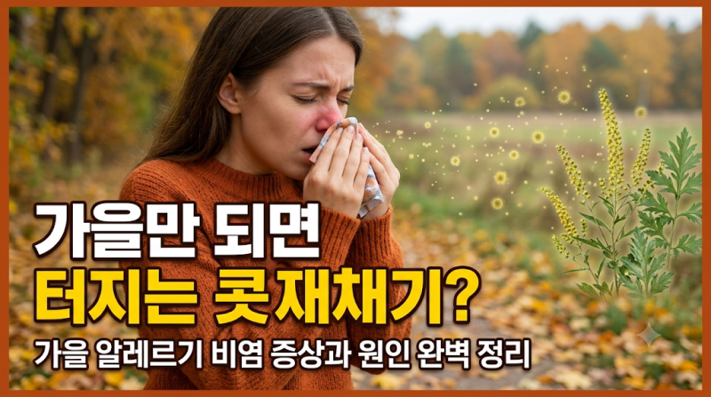 감기인 줄 알았는데? 가을 알러지 비염 증상과 원인 완벽 정리 (feat. 꽃가루 주의보)