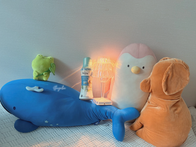 올리브영 추천템 중 정착하게 된 향기부스터!