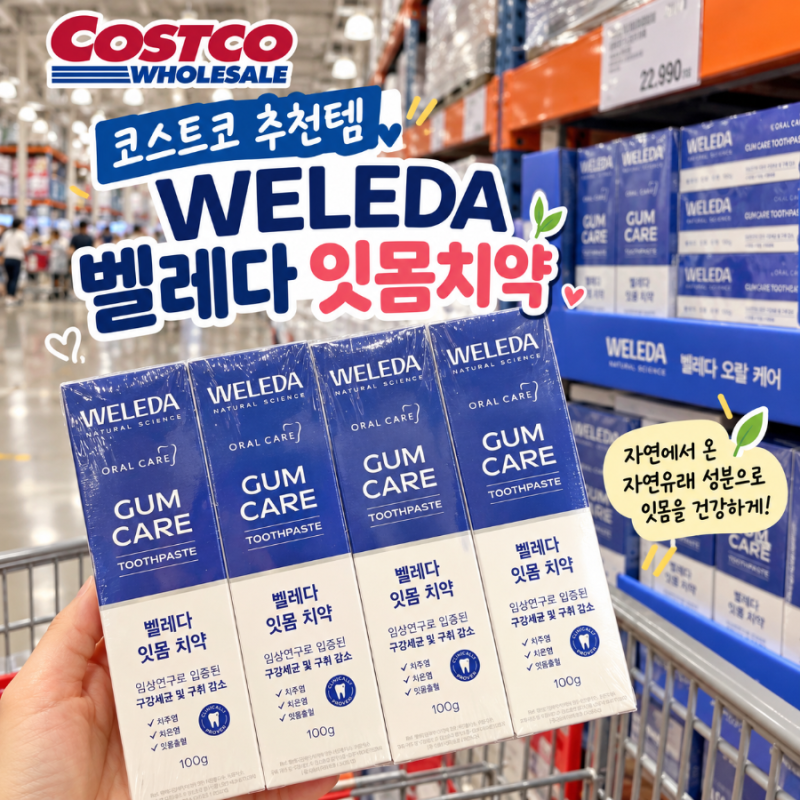 코스트코 벨레다 잇몸치약 입점 소식｜100g 4개입 잇몸 케어 치약