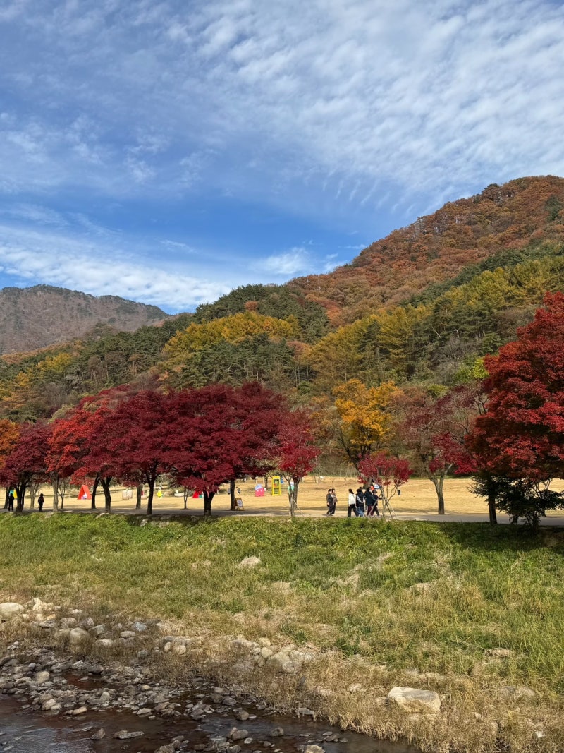 2026 문경사과축제 16일간 열리는데, 초대가수 라인업 뭐길래