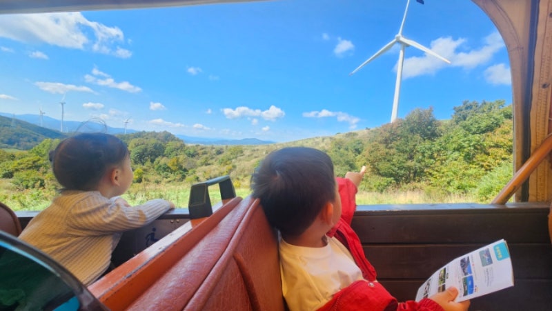 Autumn Outing to Daegwallyeong Haneul Ranch: Haneul Cafe, Kids' Ice Cream, and Plain Yogurt
