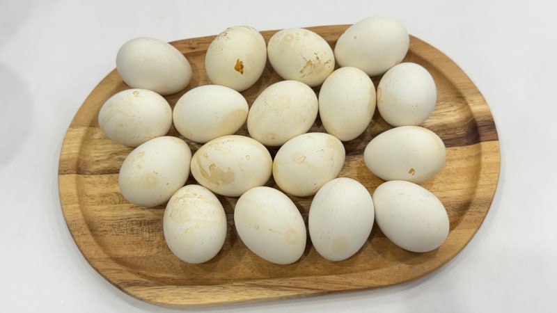 삶은 계란 2개 칼로리삶은 계란 2개 칼로리 얼마? 다이어트할 때 하루 몇 개 먹어도 될까?