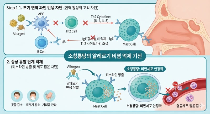맑은 콧물 줄줄 흐르는 알러지 비염엔 : 소청룡탕이 좋습니다.