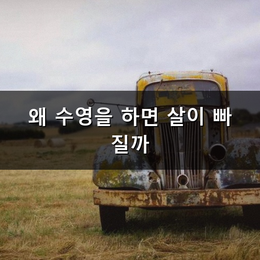 수영 다이어트로 살을 뺄 수 있을지 궁금하지 않으신가요?