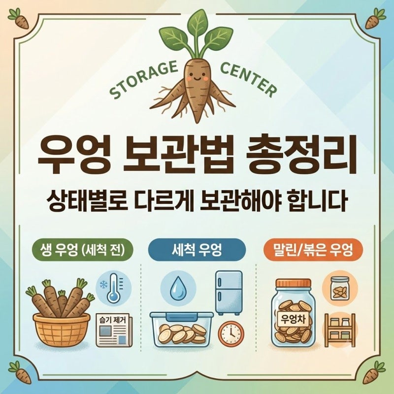우엉 보관법 총정리, 상태별로 다르게 보관해야 합니다