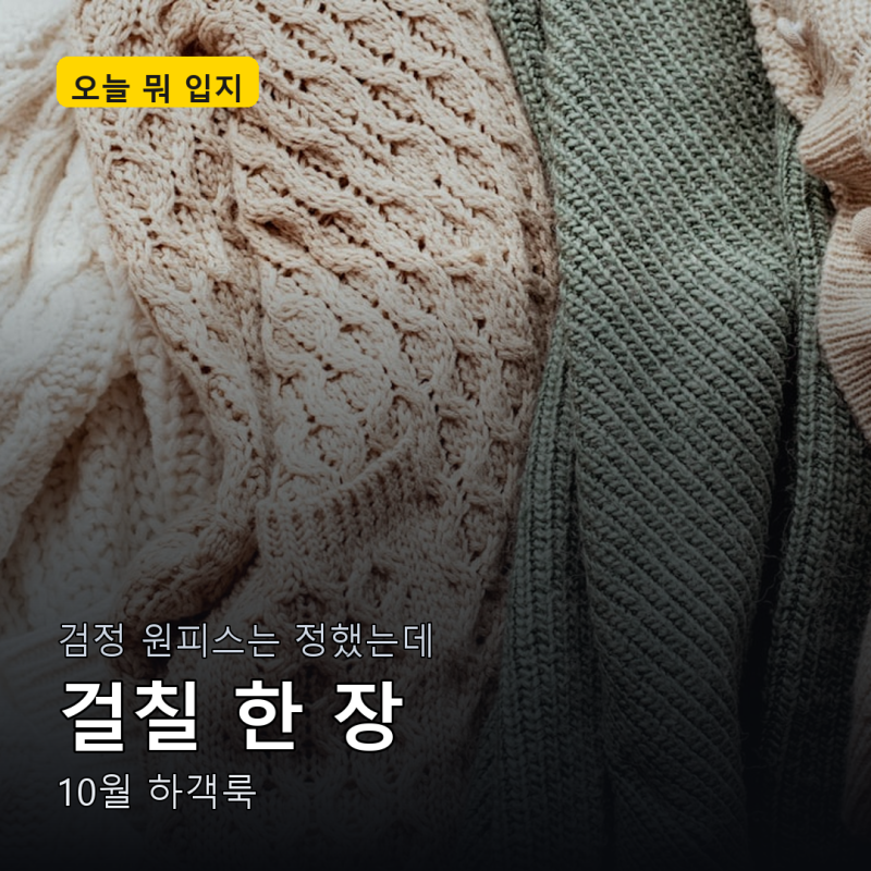 10월 결혼식 앞둔 40대, 검정 원피스 위에 뭘 걸칠지 막혔다면