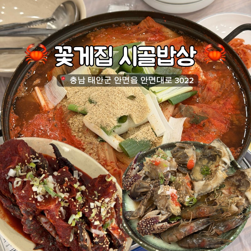 [태안]안면도 맛집 꽃게집 시골밥상ㅣ양념게장 • 간장게장 • 대하장까지 나오는 게국지 2....
