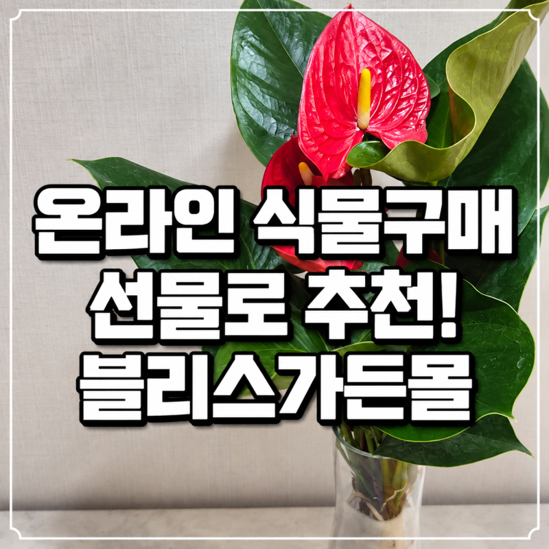 공기정화식물 수경재배식물 온라인 식물 구매 블리스가든몰