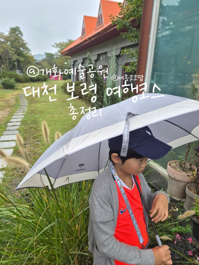 보령 대천 아이와 가볼만한곳 개화예술공원 모산미술관 개화허브랜드 보령여행 대천여행 추....