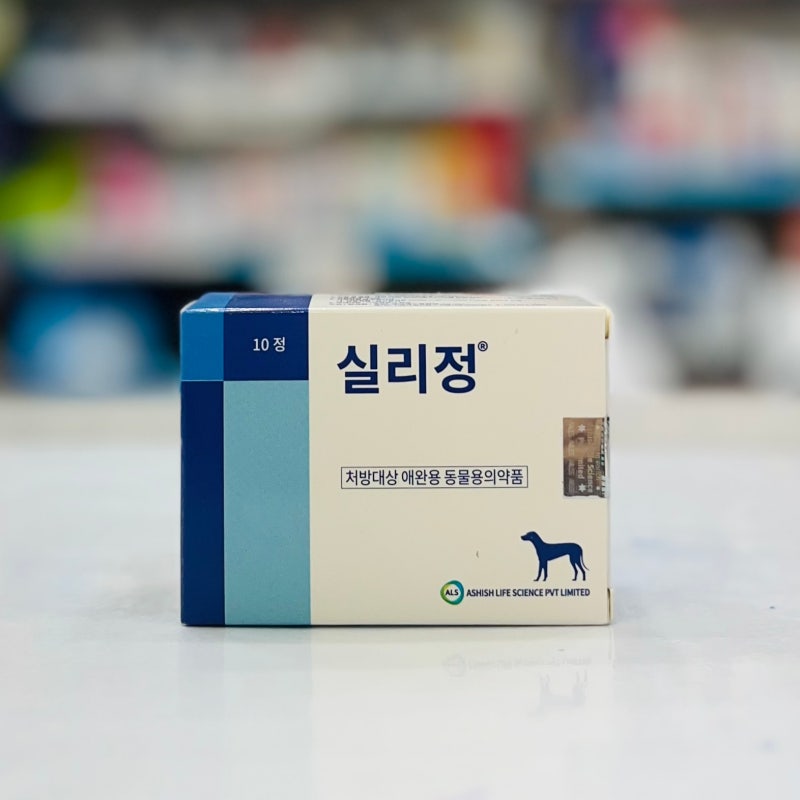실리정