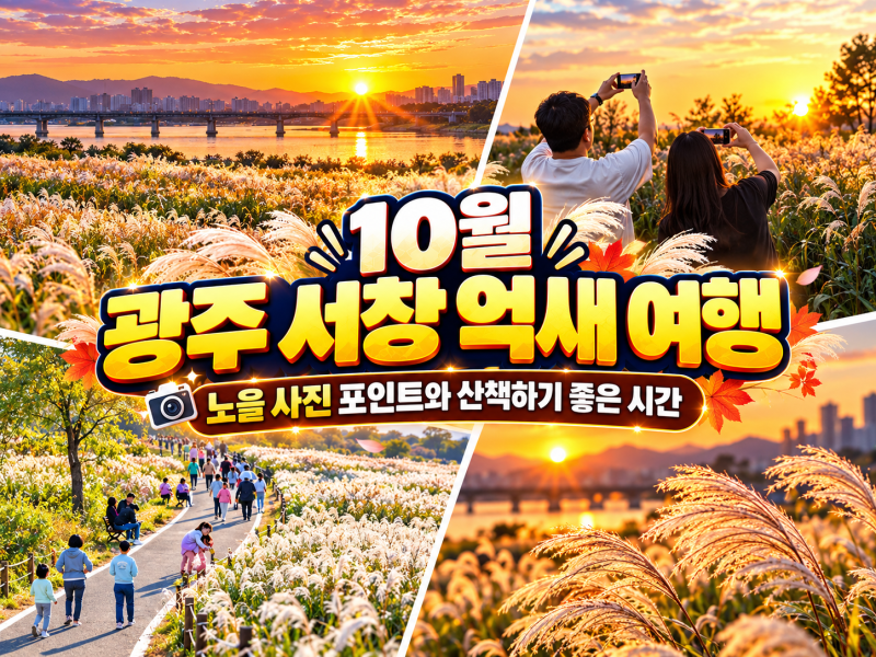 10월 광주 서창 억새 여행 후기｜노을 사진 포인트와 산책하기 좋은 시간