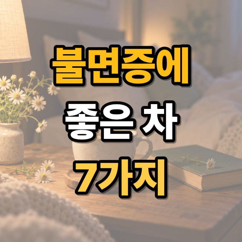 불면증에 좋은 차 7가지 숙면에 도움 되는 차 알아보기