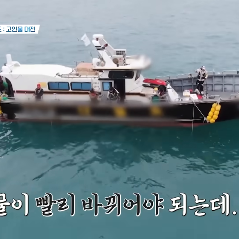 이태곤 거문도 고인물 대전에서 이경규와 3대 돔 트로피 걸고 진검승부 붙었다