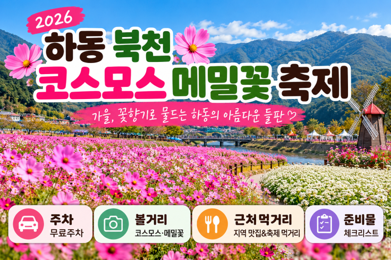 2026 하동 북천 코스모스 메밀꽃 축제 주차부터 먹거리, 준비물까지 총정리