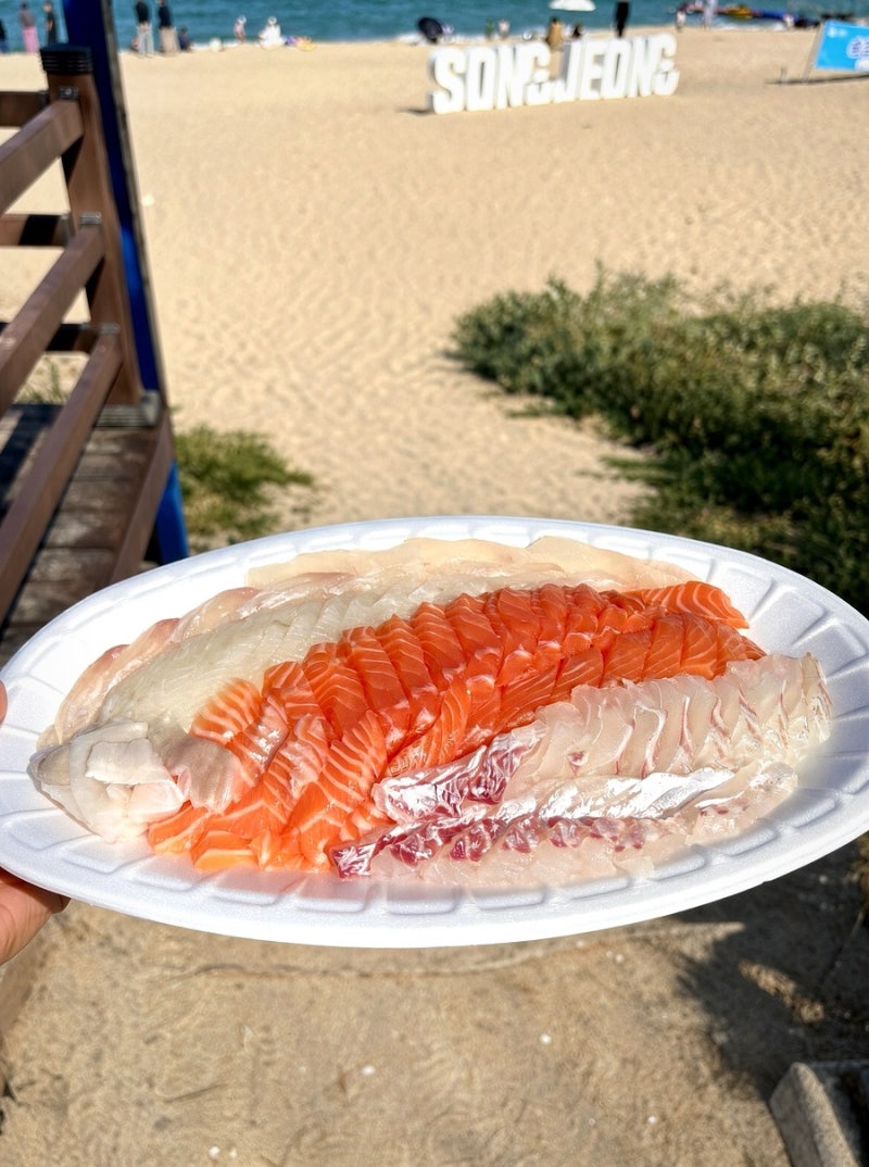 강릉 중앙시장 횟집 고고횟집 | 가성비 좋은 회 포장맛집