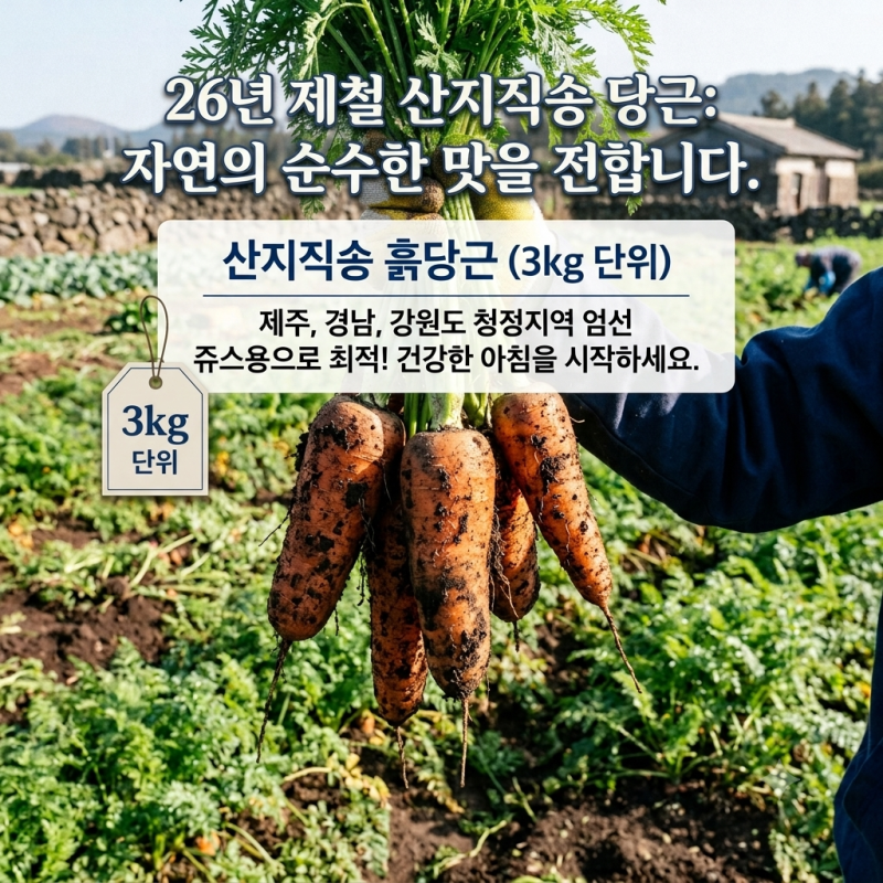 26년 제철 제주 흙당근 3kg 솔직 후기: 흙당근 세척·보관법부터 CCA 착즙 주스 꿀팁까지 (세척....