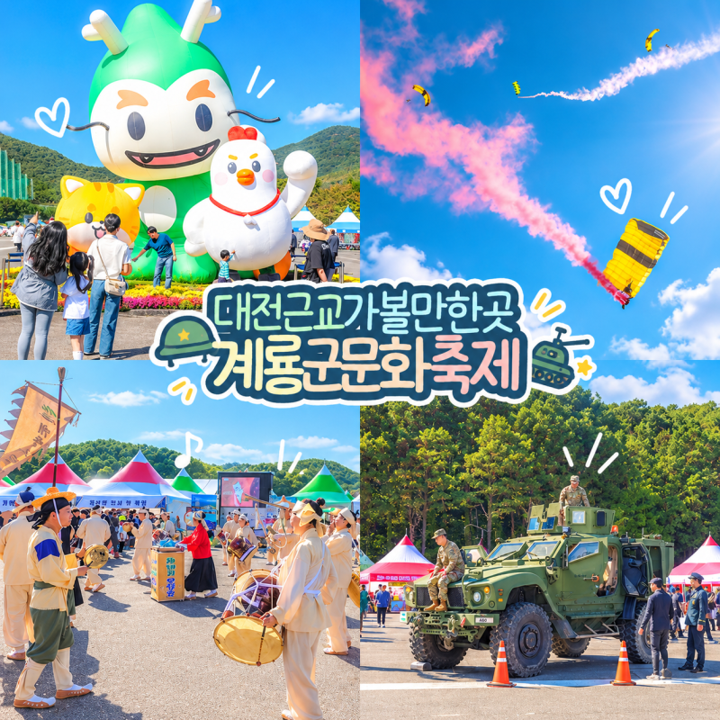 大田近郊のおすすめスポット 2026鶏龍軍文化祭り エアショー体験