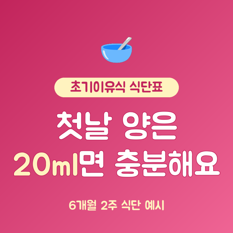 초기이유식 식단표 6개월 기준 양, 쌀미음 20ml부터 2주 식단 예시