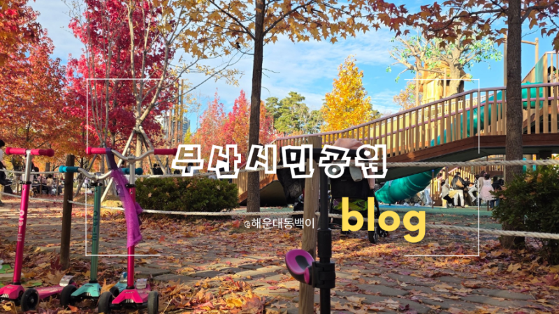 부산시민공원의 가을