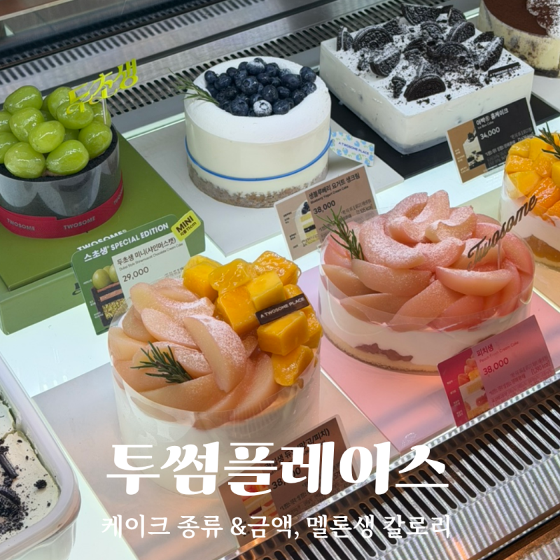 투썸플레이스 케이크 종류 가격 예약 멜론생 칼로리