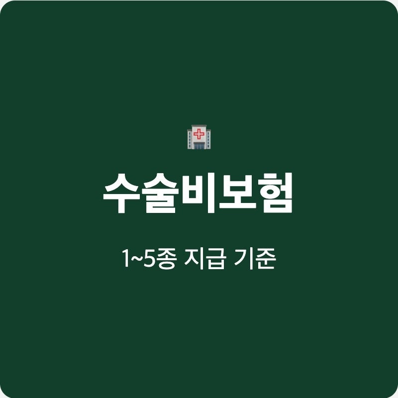 하지정맥류 안검하수 수술비보험 1~5종 지급 기준 주의점