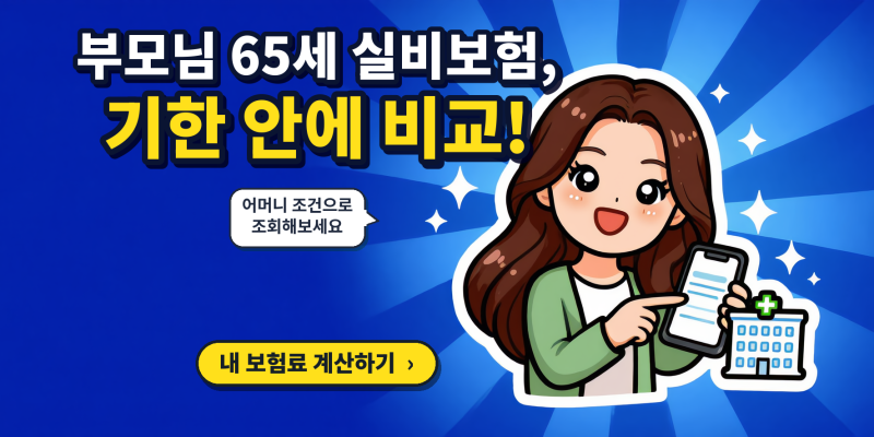 65세실비보험 기한 앞둔 60대실비보험 실비보험비교사이트 정리