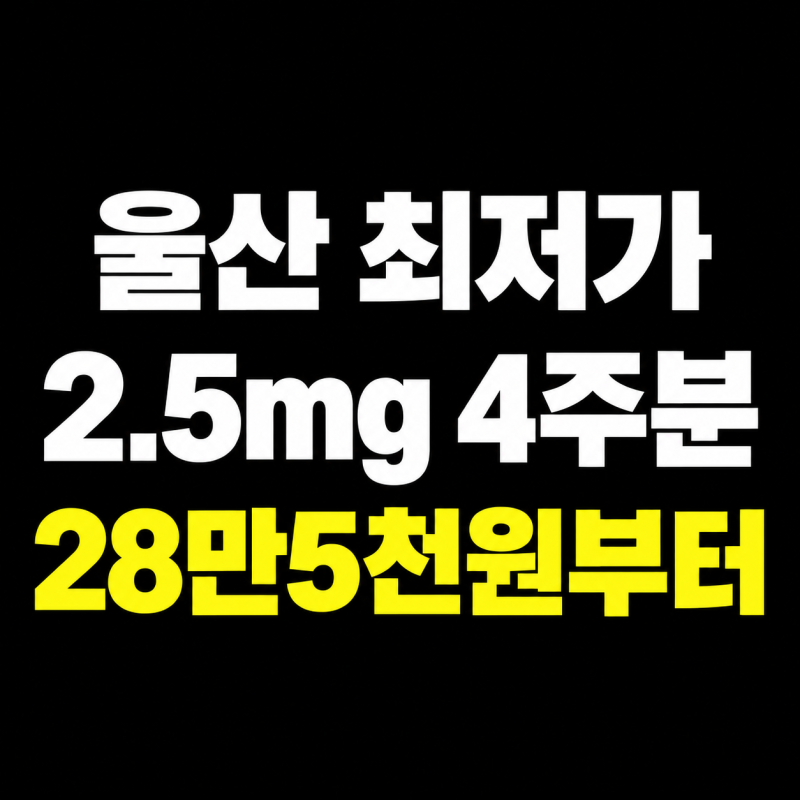 2026 울산 마운자로 성지 총정리｜최저가 찾는 법·온누리상품권·울산페이 비교