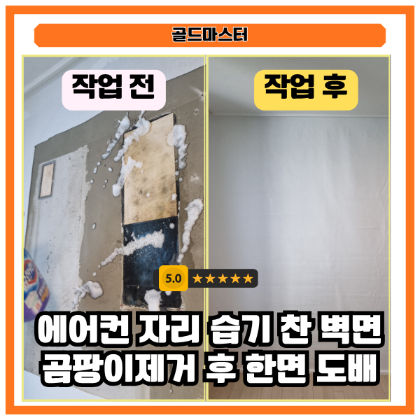 인테리어 후 벽 곰팡이 생기는 이유 에어컨 타공부 확인, 양산 집수리 도배