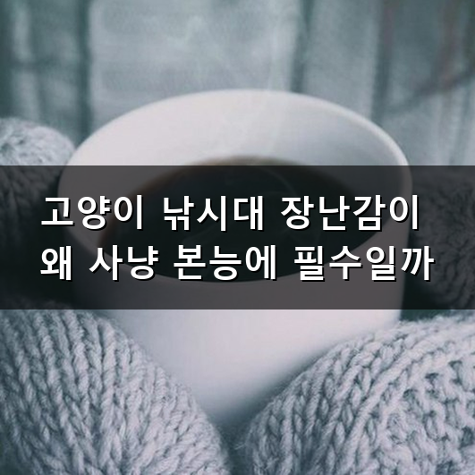 집사 마음에 쏙 드는 고양이 낚시대 장난감 어떻게 고를까? 사냥 본능 채워주는 고양이