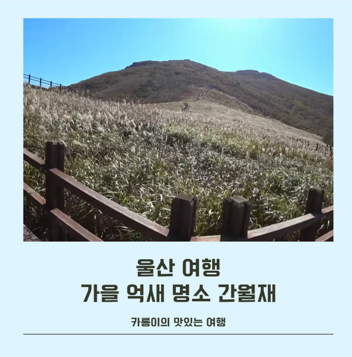 "울산 여행" 간월재 억새 절정 시기, 은빛 물결 보러 가는 추천 등산 코스