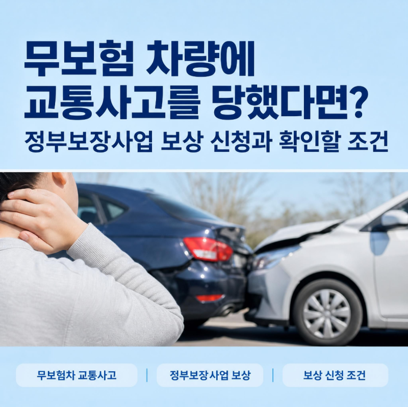 무보험 차량에 교통사고를 당했다면? 정부보장사업 보상 신청과 확인할 조건