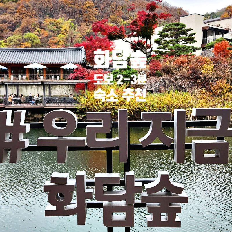 [곤지암 리조트 숙소 추천] 화담숲 예약 꿀팁부터 1박 2일 힐링 여행 코스 완벽 정복!