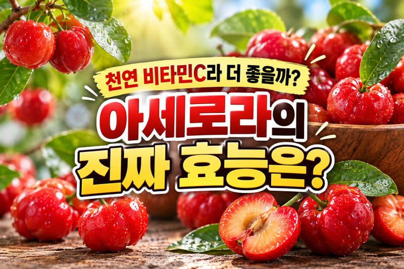 아세로라 효능은? 그린아세로라·천연 비타민C 아세로라C 차이까지