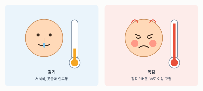 감기인 줄 알았는데 독감? 초기 증상 차이점과 예방접종 시기 총정리