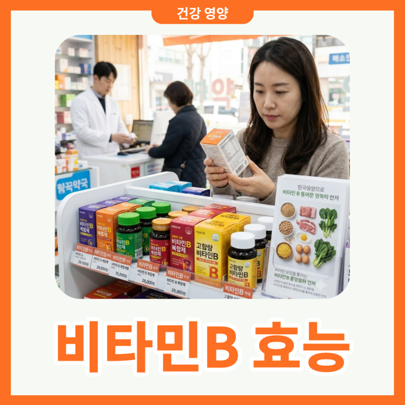 피로회복 비타민B 효능 종류별 역할과 섭취 방법 알아보기