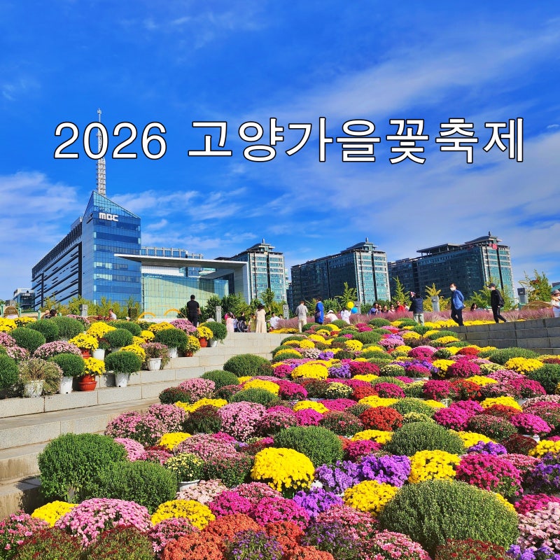 2026 고양가을꽃축제 일산호수공원 주차, 가을 꽃놀이 추천