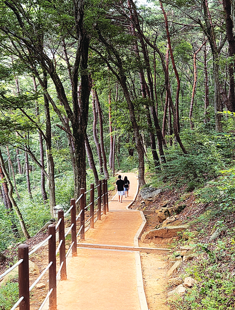 [창원 무료 가볼만한곳] 가을 아이와 걷기 좋은 성주사 황톳길