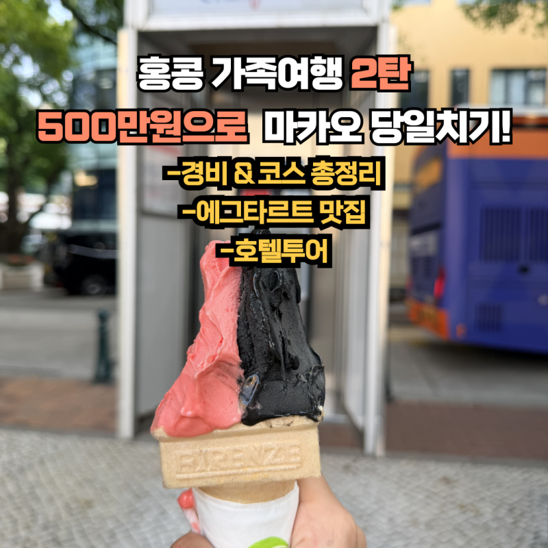 [홍콩/마카오] 500만원으로 가족여행 완벽 코스(경비+에그타르트 맛집)