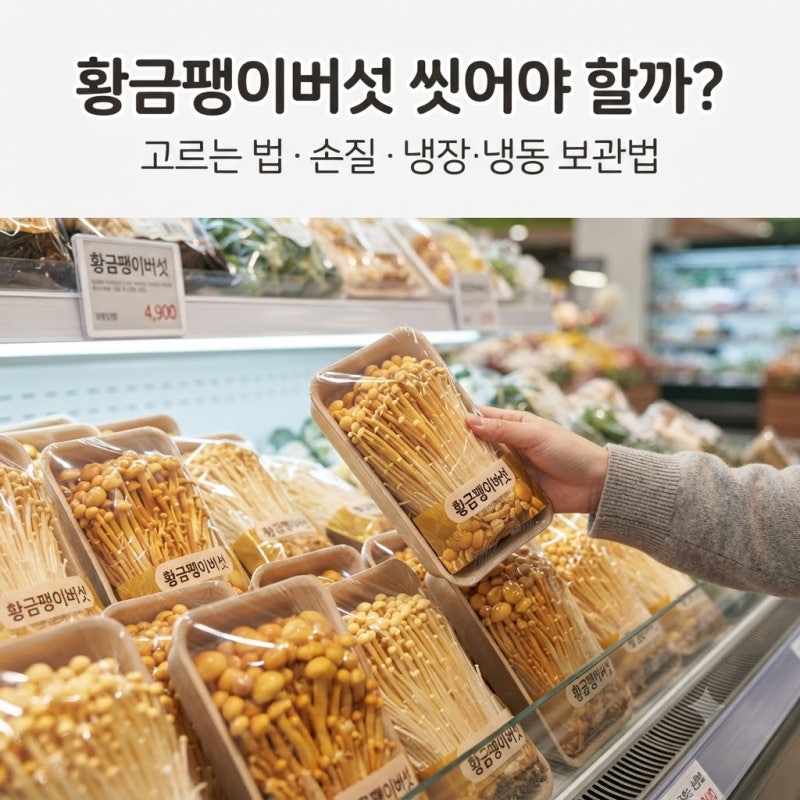 황금팽이버섯 씻어야 할까? 고르는 법·손질·보관법까지