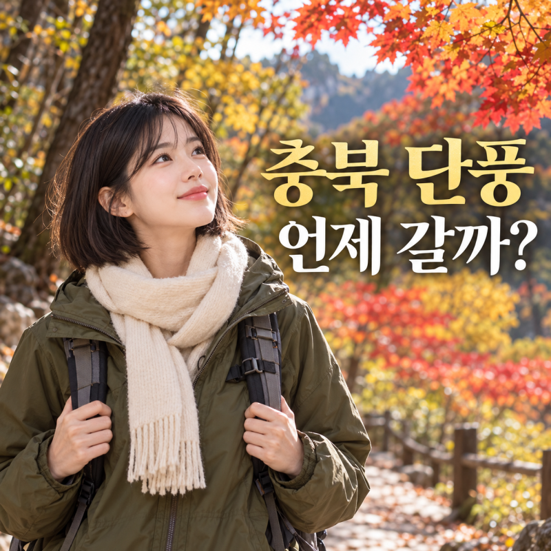 충북 단풍 언제 절정일까? 월악산·보발재, 같은 날짜에 가면 아쉬운 이유