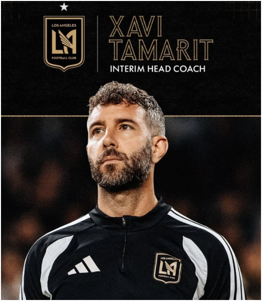 “손흥민 있는데 감독을 잘랐다”…LAFC 초강수, 대표팀 이어 소속팀도 스페인 임시 감독