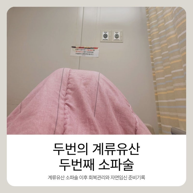 30대 후반 계류유산2 소파술2 자연임신 준비 기록