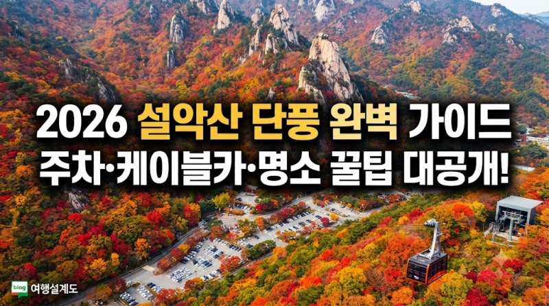 설악산 단풍시기 2026 주차 케이블카 예약 실패 없는 꿀팁