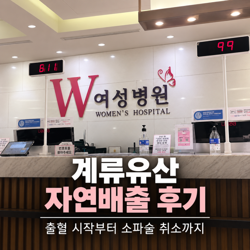 계류유산 자연배출 후기｜소파술 전 시작된 출혈, 통증부터 마지막 초음파까지