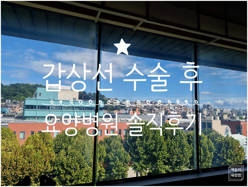 갑상선 수술 후 요양병원 입원 솔직 후기