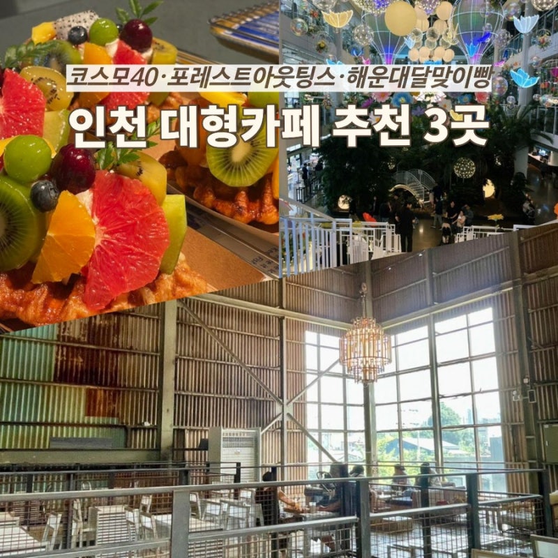 인천 대형카페 추천 3곳｜코스모40·포레스트아웃팅스·해운대달맞이빵