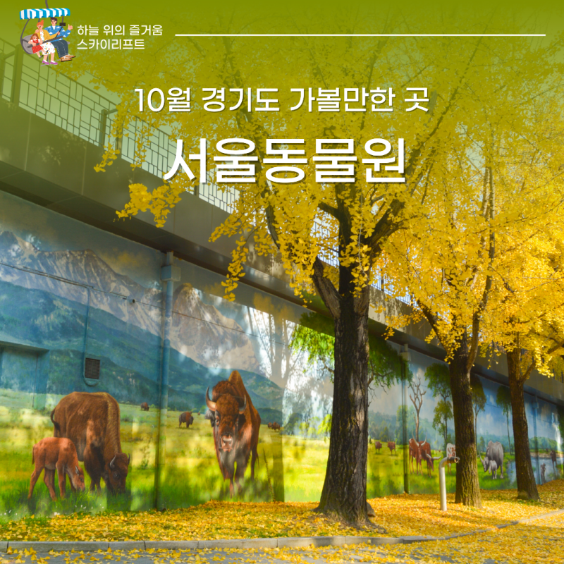Gyeonggi Province in October: A Zoo with Plenty to Enjoy